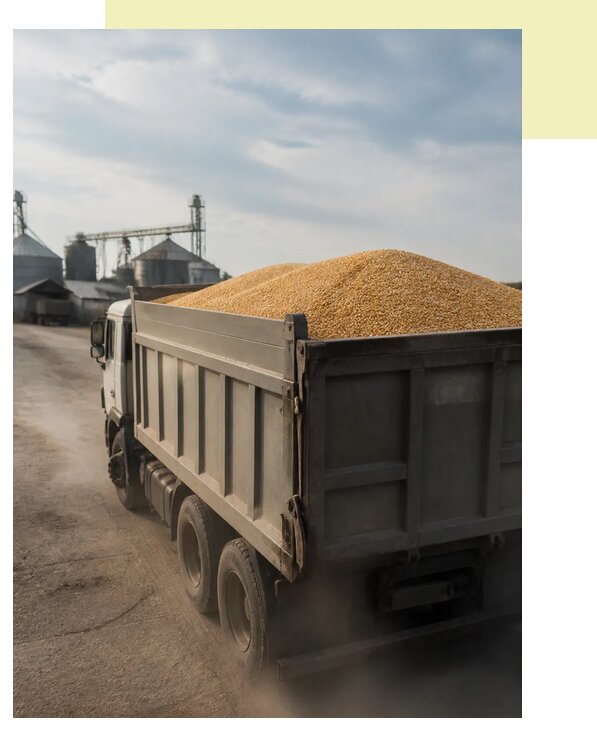 Перевозка сельхозпродукции навалом в Черкесск по цене от 3059 р. | Агросервис-Чрк